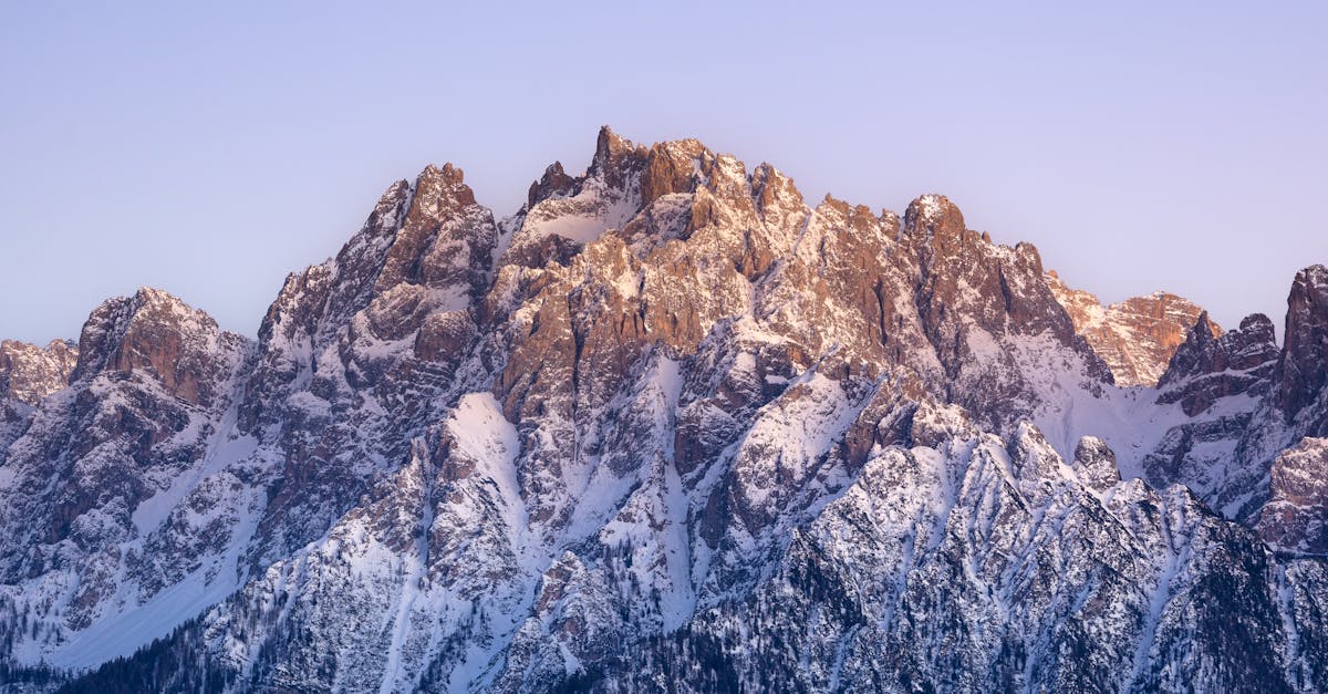 Les 5 meilleurs assistants IA no-code pour bosser moins et mieux