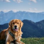 Comparatif de 3 CRM IA pour booster ta prospection